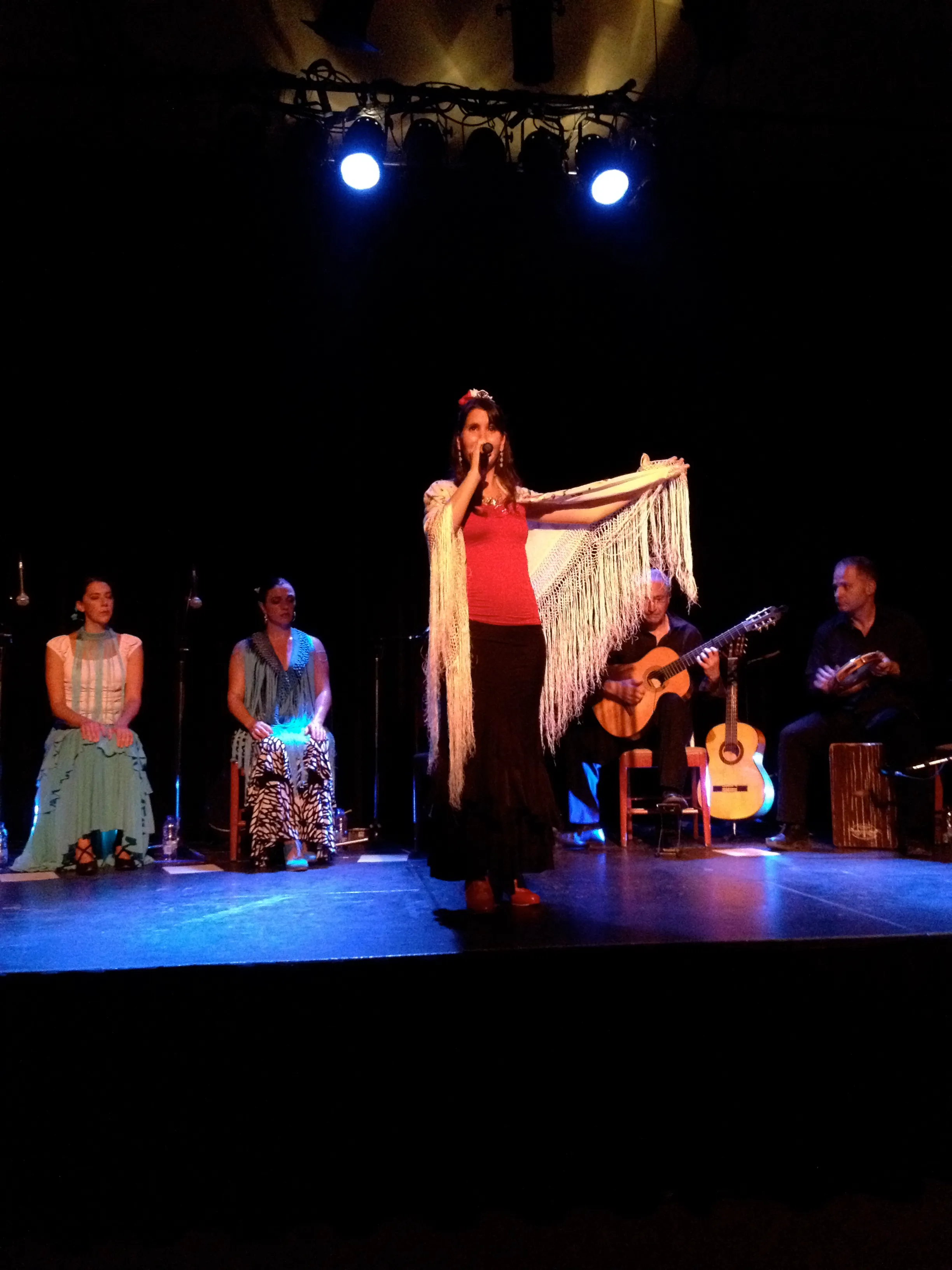 Marie-Hélène Raby en spectacle — photo 11